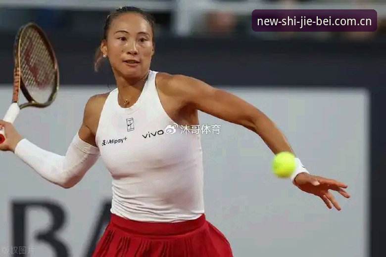 郑钦文外卡逆转 vs 常规晋级：两种赛道的生存法则对比